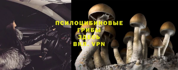 сатива Кодинск