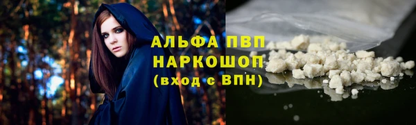сатива Кодинск