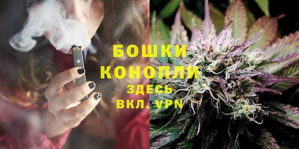 apvp Козельск