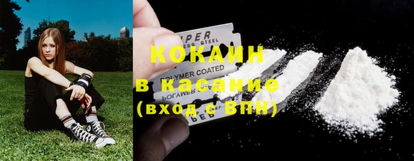 сатива Кодинск