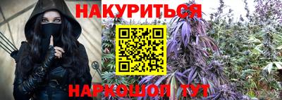 каннабис Кингисепп