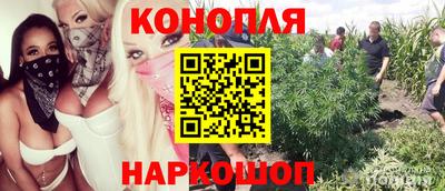 прущие крисы Кинель