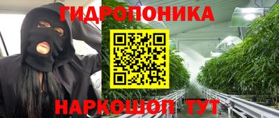 спиды Кимры