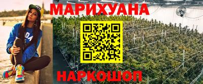 каннабис Кингисепп