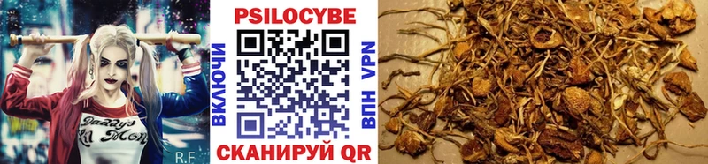 Псилоцибиновые грибы Psilocybine cubensis  где найти   Пыть-Ях 