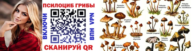 Галлюциногенные грибы MAGIC MUSHROOMS Пыть-Ях