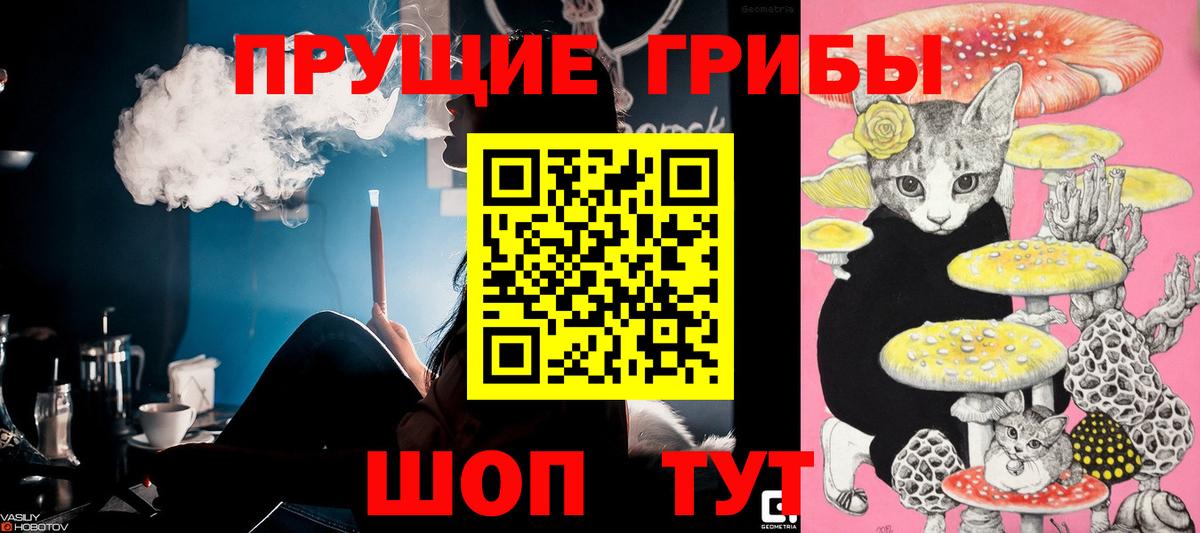 Галлюциногенные грибы Magic Shrooms  Вход с VPN  Галлюциногенные грибы GOLDEN TEACHER  Пыть-Ях 